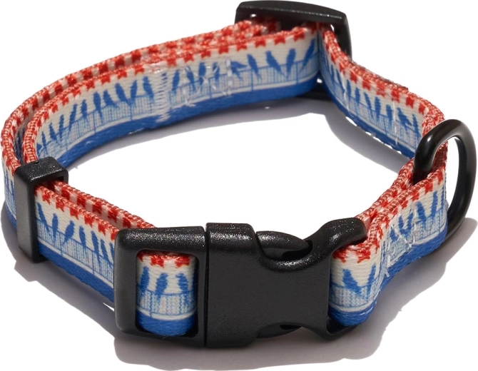 Explorer Dog obroża z motywem ptaków rozmiar S (24–36 cm, szerokość 1,5 cm)