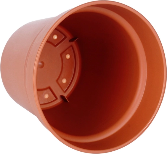 Przemyślany kształt dla zdrowych roślin