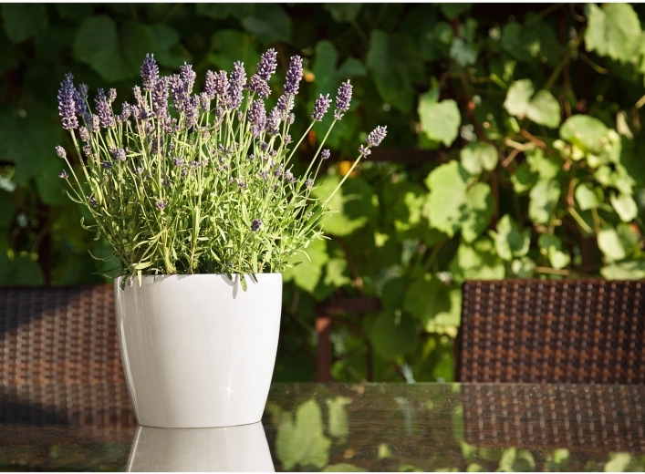 Odpowiednia do wnętrz i na zewnątrz