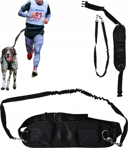 Bieganie i chodzenie z psem bez użycia rąk