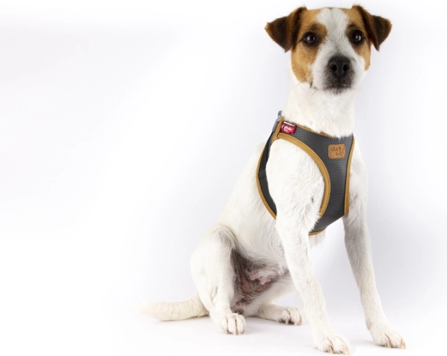 Ergonomia Comfort Fit i bezpieczne rozłożenie siły ciągu