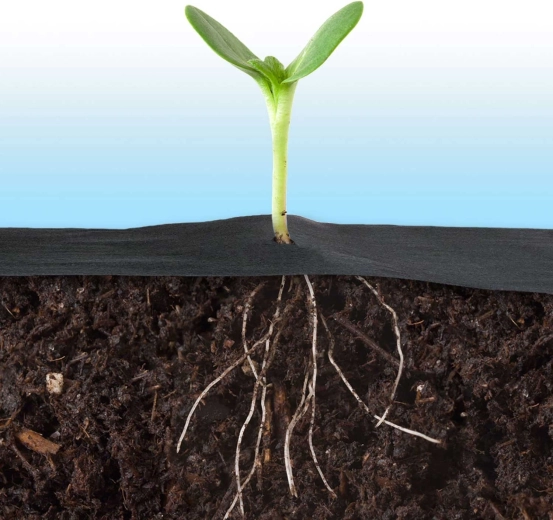 Lepszy mikroklimat i silniejsze korzenie