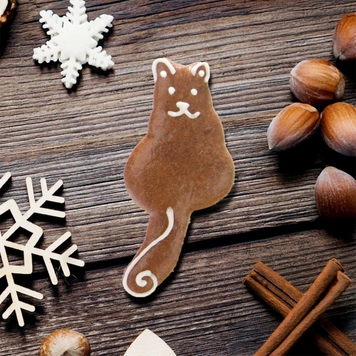 Kreatywne zdobienie na święta i przez cały rok