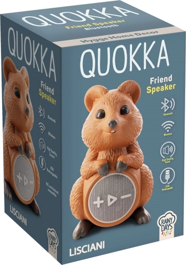 Bezprzewodowe odtwarzanie przez Bluetooth i ładowanie USB‑C