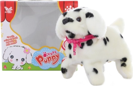 Chodzący piesek dalmatyńczyk z saltami