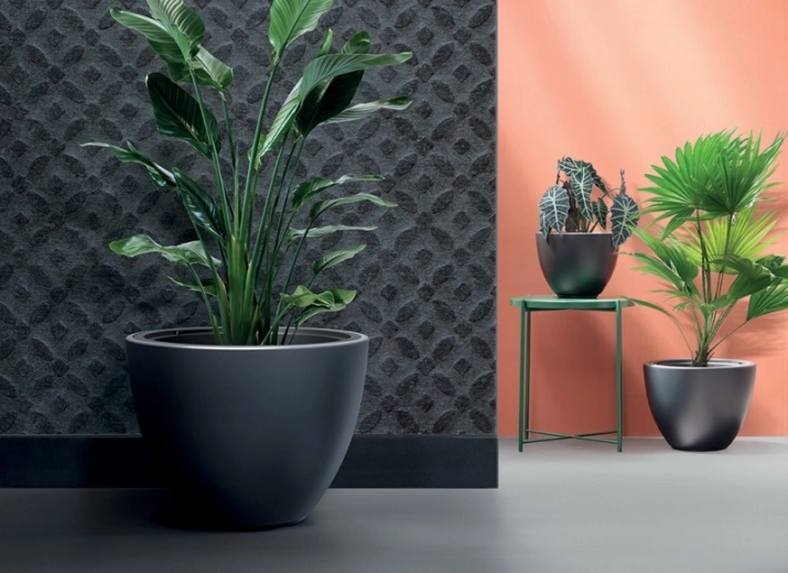 Nowoczesny minimalistyczny wygląd