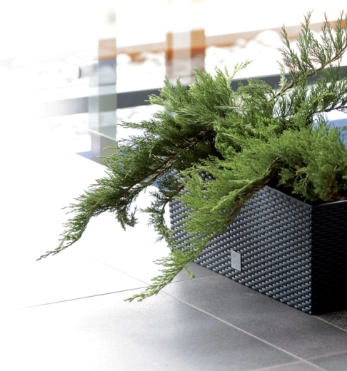 Wytrzymałe tworzywo i łatwa pielęgnacja