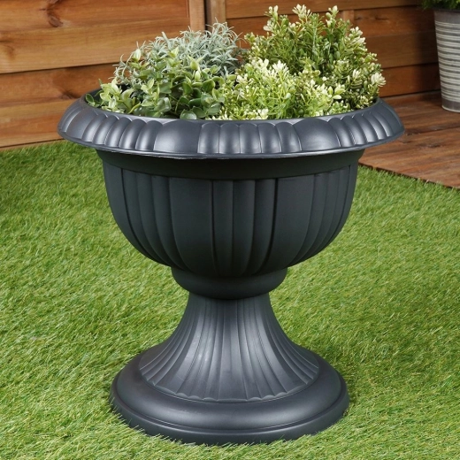 Odporność przez cały rok