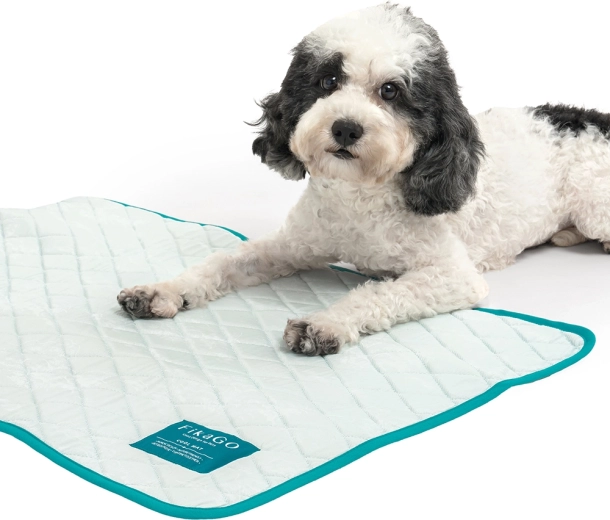 Lekka, kompaktowa i gotowa w podróż