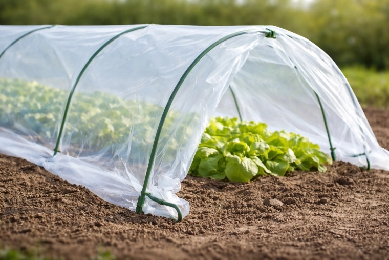 Ciepły mikroklimat i ochrona przez cały dzień