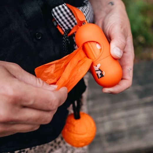 Praktyczna na spacery