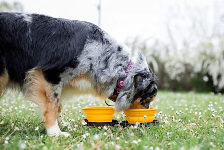 Szybkie użycie w dowolnym miejscu