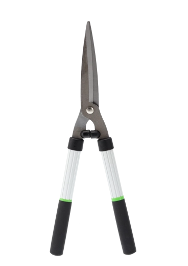 Precyzyjne cięcie i formowanie żywopłotów