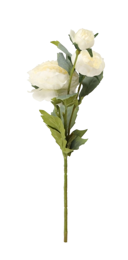 Idealna do wazonu i aranżacji