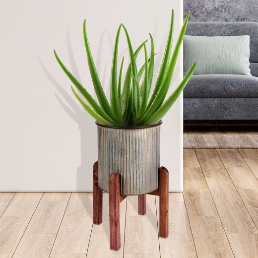 Idealna do wnętrz, łatwa do przenoszenia