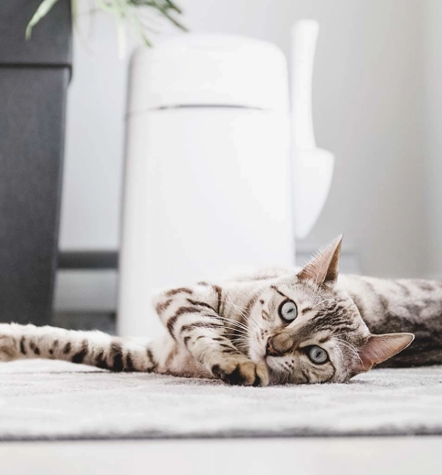 Praktyczne akcesoria i przenoszenie