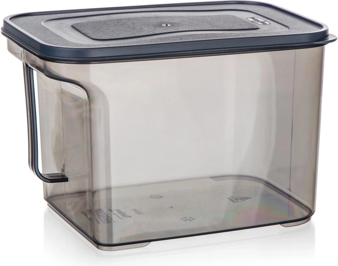 Plastowy pojemnik z uchwytem 3,25 l Zoya