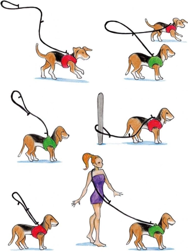 Trzy regulowane długości na każdą sytuację