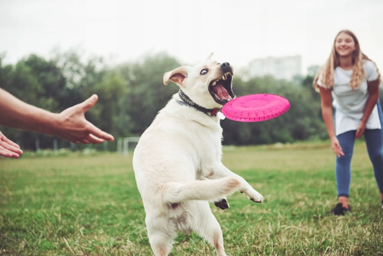 Stabilny lot i łatwe chwytanie