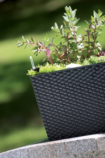 Stylowy rattanowy design do wnętrz i na zewnątrz