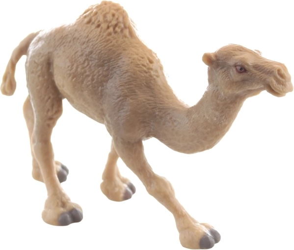 Wytrzymały plastik i stabilna postawa