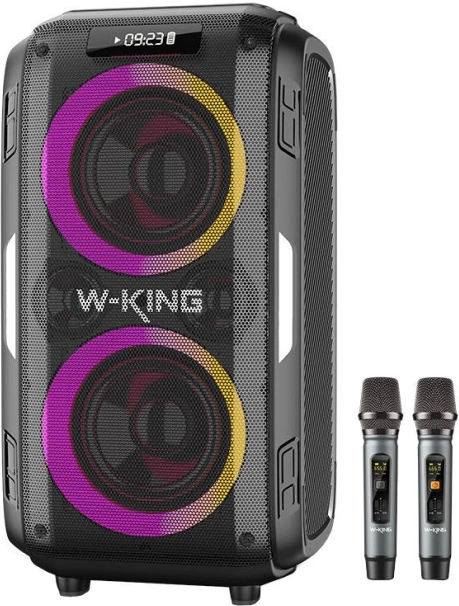 Bezprzewodowy głośnik W-KING T9 Pro o mocy 120 W z 2 mikrofonami – czarny