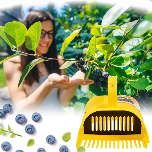 Czystszy zbiór bez liści