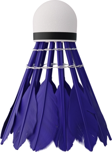 Szybki i stabilny lot dzięki kaczym piórom