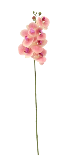 Długość 74 cm do eleganckich aranżacji