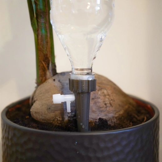 Stabilne zakotwienie w doniczce