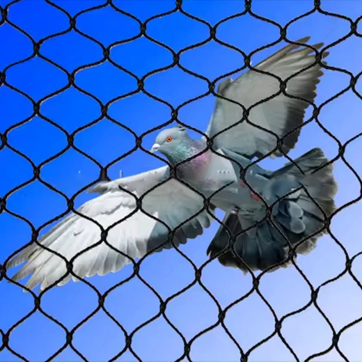 Skuteczna bariera przeciw ptakom