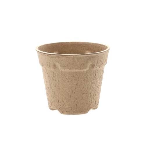 Bez stresu z przesadzania