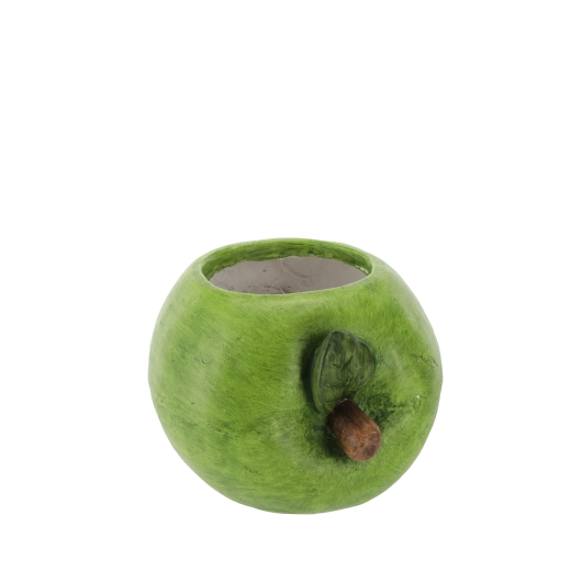 Idealne wymiary dla ziół i mniejszych roślin