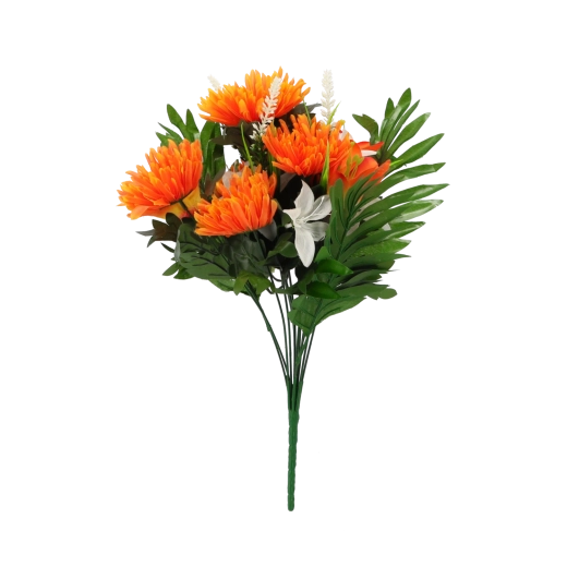 Żywe kolory, które nie blakną