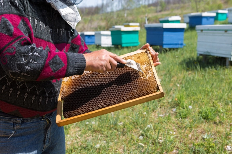 Szybsza praca w pasiece