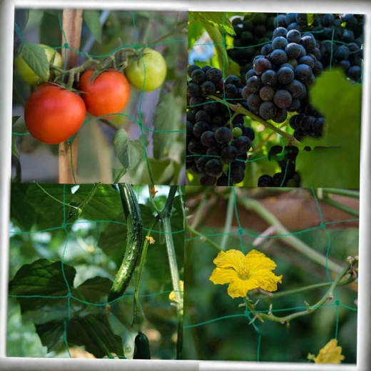 Uniwersalne zastosowanie w ogrodzie i szklarni
