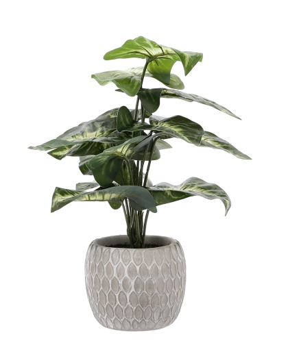 Stylowa i stabilna donica