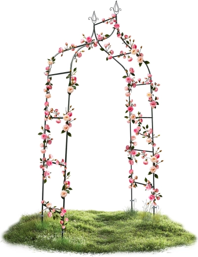 Idealna podpora dla pnączy