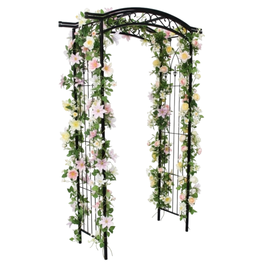 Eleganckie wejście i podpora dla pnączy