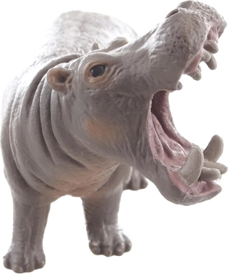 Idealna do nauki o zwierzętach