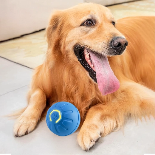 Wytrzymały i bezpieczny design dla zębów i łap