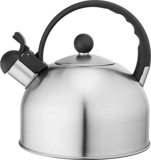 Czajnik nierdzewny Daily satin 2,5 l