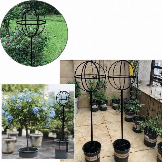 Idealna do donic i na rabaty