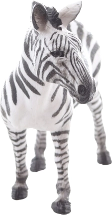 Idealna do nauki i kolekcji