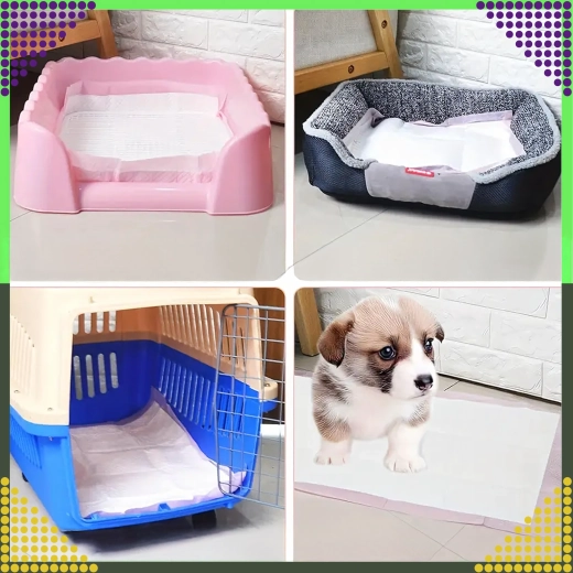 Wszechstronne zastosowanie w domu i w podróży