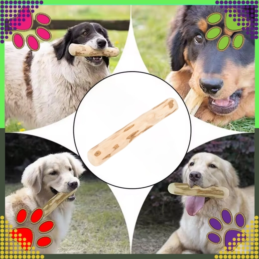 Zaspokaja instynkt żucia i wspiera zęby