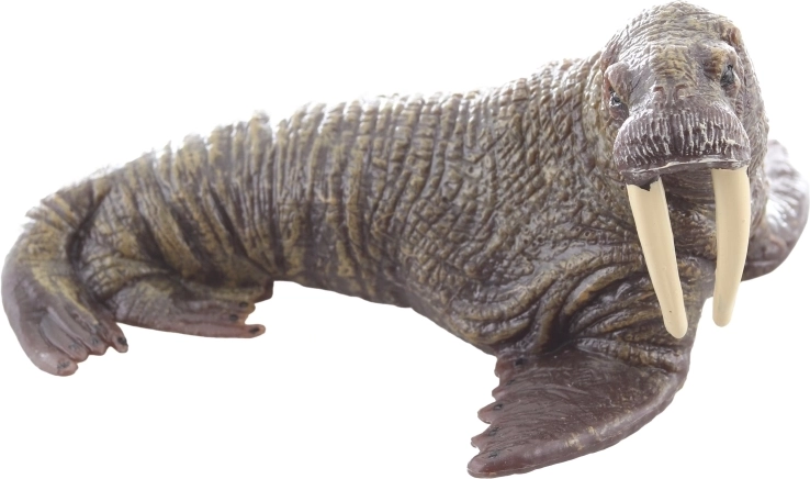 Wytrzymała plastikowa konstrukcja