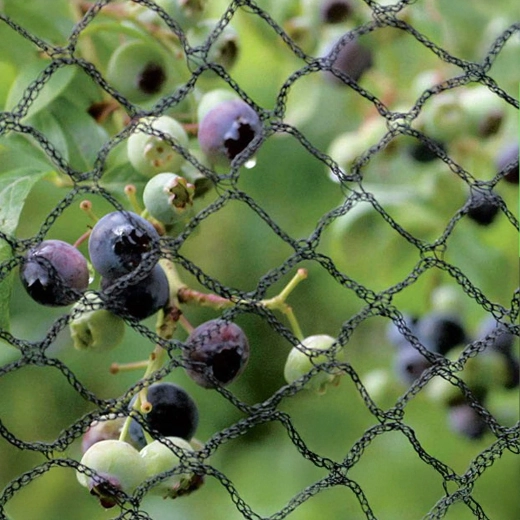 Niezawodna ochrona plonów i roślin