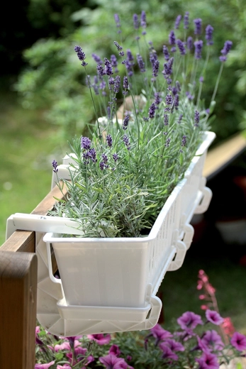 Czysty design do każdej przestrzeni