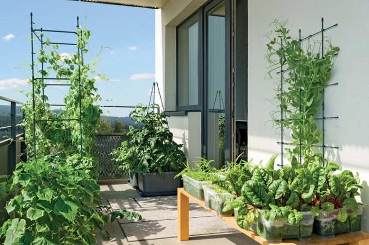 Idealna do ogrodów i na balkony